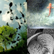 Illustration for article titled These Are the Most Spectacular Nature Photos of the Year